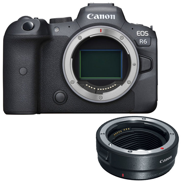 Canon EOS R6 + EF-EOS R mount adapter
